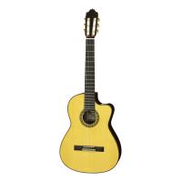 ESTEVE ELEC Spr スプルース単板トップ スペイン製 ピックアップ搭載 クラシックギター エレガット | さくら山楽器