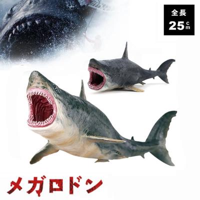 メガロドン歯の商品一覧 通販 - Yahoo!ショッピング メガロドン歯の商品一覧 通販 - Yahoo!ショッピング