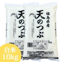 福島県産天のつぶ 白米 10kg(5kg×2袋) 令和7年産 送料無料 米 10kg お米 10kg (沖縄・離島 別途送料+1100円)