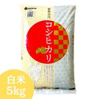 新米 米 5kg 令和7年産 福島県産コシヒカリ 白米 5kg(5kg×1袋) 送料無料 お試し お米 5kg (沖縄・離島 別途送料+1100円) | 会津CROPS