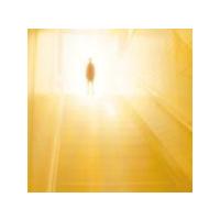BUMP OF CHICKEN CD【友達の唄】11/2/23発売　オリコン加盟店 | アットマークジュエリー