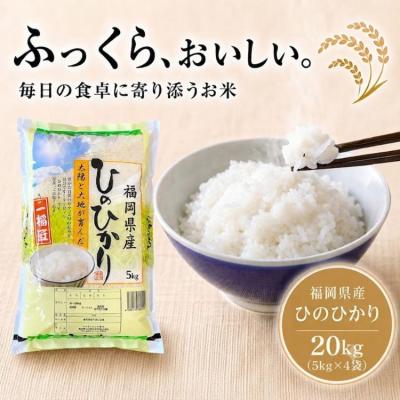 お米 新米 農家直送‼️ 20kg 白米 米 20㎏ 20キロ お米 おこめ