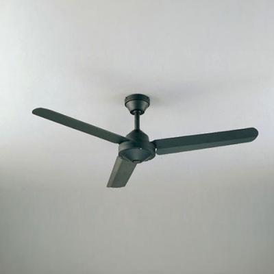 ODELIC シーリングファン（色：ブラック系）｜シーリングライト、天井