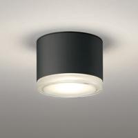 OR037038 オーデリック 非常灯 白熱灯器具100W相当 電球色 防雨型 | あかり電材