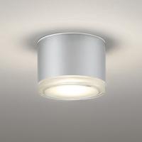 OR037039 オーデリック 非常灯 白熱灯器具100W相当 電球色 防雨型 | あかり電材