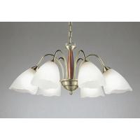 OC006487LR オーデリック シャンデリア 〜10畳用 電球色 | あかり電材