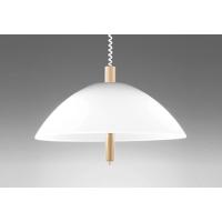 OP087150NR オーデリック ペンダントライト 白熱灯器具100W×2灯相当 昼白色 引掛シーリングタイプ | あかり電材