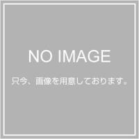 DID（DAIDO チェーン） ［4525516345309］ ４２０Ｄ−１３０ＲＢ Ｓ＆Ｓ スタンダード ポイント5倍 | アカリカ Yahoo!店