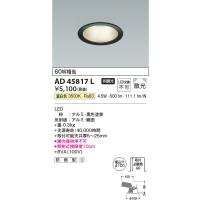 安心のメーカー保証 【インボイス対応店】AD45817L コイズミ照明器具 ダウンライト 一般形 LED 埋込穴φ100 実績20年の老舗 | あかりのAtoZ