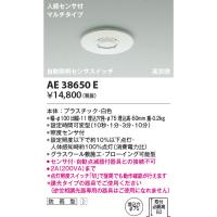 安心のメーカー保証 【インボイス対応店】AE38650E コイズミ照明器具 ポーチライト 人感センサーのみ 実績20年の老舗 | あかりのAtoZ