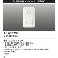 安心のメーカー保証 【インボイス対応店】AE45829E コイズミ照明器具 オプション 実績20年の老舗 | あかりのAtoZ