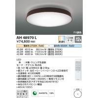 安心のメーカー保証 【インボイス対応店】AH48970L コイズミ照明器具 シーリングライト LED リモコン付 実績20年の老舗 | あかりのAtoZ
