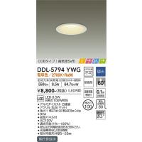 安心のメーカー保証 【インボイス対応店】DDL-5794YWG 大光電機 LED ダウンライト COBタイプ 実績20年の老舗 | あかりのAtoZ