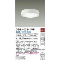 安心のメーカー保証 【インボイス対応店】DEG-40234WF 大光電機 LED 屋外灯 非常灯 実績20年の老舗 | あかりのAtoZ