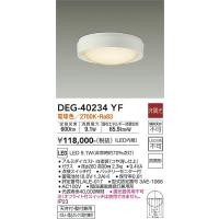 安心のメーカー保証 【インボイス対応店】DEG-40234YF 大光電機 LED 屋外灯 非常灯 実績20年の老舗 | あかりのAtoZ