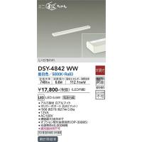 安心のメーカー保証 【インボイス対応店】DSY-4842WW 大光電機 LED ベースライト 間接照明・建築化照明 実績20年の老舗 | あかりのAtoZ