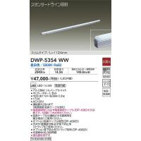 安心のメーカー保証 【インボイス対応店】DWP-5354WW （電源接続ケーブル別売） 大光電機 LED 屋外灯 その他屋外灯 実績20年の老舗 | あかりのAtoZ