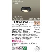 期間限定特価 パナソニック照明器具 ポーチライト 軒下用 LSEWC4066LE1 ...