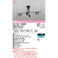 安心のメーカー保証 【インボイス対応店】OC257160BR オーデリック照明器具 シャンデリア LED リモコン別売  実績20年の老舗 | あかりのAtoZ