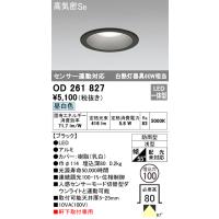 安心のメーカー保証 【インボイス対応店】OD261827 オーデリック照明器具 ポーチライト 軒下用 LED 期間限定特価  実績20年の老舗 | あかりのAtoZ