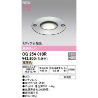 安心のメーカー保証 【インボイス対応店】OG254010R オーデリック照明器具 屋外灯 アップライト LED  実績20年の老舗 | あかりのAtoZ