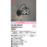 安心のメーカー保証 OG254394LCR（ランプ別梱包）『OG254394#＋NO292EL』 オーデリック ポーチライト LED ◆ 実績20年の老舗 | あかりのAtoZ