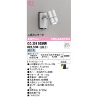 安心のメーカー保証 OG254568NR（ランプ別梱包）『OG254568#＋NO257EN』 オーデリック 屋外灯 スポットライト LED | あかりのAtoZ