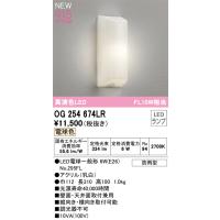 安心のメーカー保証 【インボイス対応店】OG254674LR（ランプ別梱包）『OG254674#＋NO295FL』 オーデリック照明器具 ポーチライト LED | あかりのAtoZ
