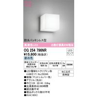 安心のメーカー保証 OG254796NR（ランプ別梱包）『OG254796#＋NO292AN』 オーデリック ポーチライト LED ◆ 実績20年の老舗 | あかりのAtoZ