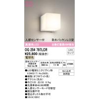 安心のメーカー保証 OG254797LCR（ランプ別梱包）『OG254797#＋NO292EL』 オーデリック ポーチライト LED ◆ 実績20年の老舗 | あかりのAtoZ