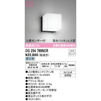ODELIC オーデリック 人感センサ付LEDポーチライト OG254799LCR 
