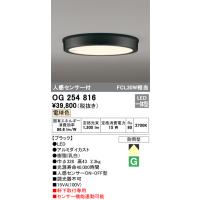 安心のメーカー保証 【インボイス対応店】OG254816 オーデリック照明器具 ポーチライト 軒下用 LED  実績20年の老舗 | あかりのAtoZ