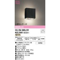 安心のメーカー保証 OG254865LCR（ランプ別梱包）『OG254865#＋NO292EL』 オーデリック ポーチライト LED ◆ 実績20年の老舗 | あかりのAtoZ