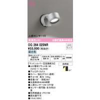 安心のメーカー保証 OG264025NR（ランプ別梱包）『OG264025#＋NO293D』 オーデリック 屋外灯 スポットライト LED ◆ | あかりのAtoZ