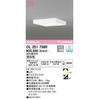 安心のメーカー保証 【インボイス対応店】OL251738R オーデリック照明器具 シーリングライト LED  実績20年の老舗 | あかりのAtoZ