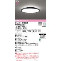 安心のメーカー保証 【インボイス対応店】OL291619BR オーデリック照明器具 シーリングライト LED リモコン別売  実績20年の老舗 | あかりのAtoZ