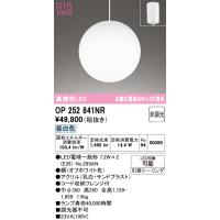 安心のメーカー保証 OP252841NR（ランプ別梱包）『OP252841#＋NO295AN×2』 オーデリック ペンダント LED ◆ 実績20年の老舗 | あかりのAtoZ