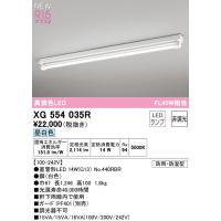 【インボイス対応店】XG554035R（ランプ別梱包）『XG554035#Y＋NO440RBR』 オーデリック照明器具 屋外灯 LED 期間限定特価 ☆ | あかりのAtoZ