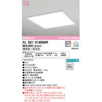 安心のメーカー保証 XL501019BMR オーデリック ベースライト 天井埋込型 LED リモコン別売 期間限定特価 ☆ 実績20年の老舗 | あかりのAtoZ