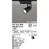 安心のメーカー保証 【インボイス対応店】XS412604 オーデリック照明器具 スポットライト LED  実績20年の老舗 | あかりのAtoZ