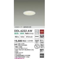 安心のメーカー保証【送料無料】大光電機 DDL-6222AW 屋外灯 ダウンライト LED≪即日発送対応可能 在庫確認必要≫灯の広場 実績20年の老舗 | 灯の広場