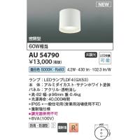 AU54790  照明器具 防雨防湿型シーリング 重耐塩仕様 LED（昼白色） コイズミ照明(KAC) | 照明販売　あかりやさん