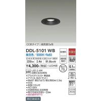 DDL-5101WB ダウンライト(軒下兼用) (φ75・白熱灯40W相当) LED 2.4W 昼白色 大光電機 (DDS) 照明器具 | 照明販売　あかりやさん