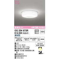 OG254873R 浴室灯  LED（昼白色） オーデリック(ODX) 照明器具 | 照明販売　あかりやさん