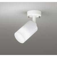 OS256560NR 照明器具 スポットライト (直付) (白熱灯60W相当) LED（昼白色） オーデリック | 照明販売　あかりやさん