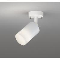 OS256560WR 照明器具 スポットライト (直付) (白熱灯60W相当) LED（温白色） オーデリック | 照明販売　あかりやさん