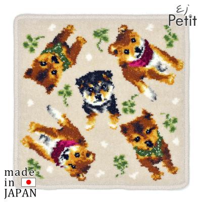 柴犬 ハンカチの商品一覧 通販 - Yahoo!ショッピング