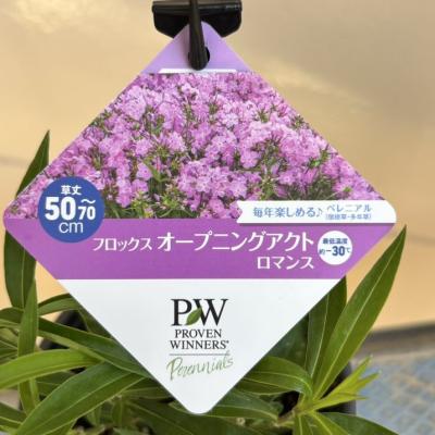 モカです。　購入件連絡用　フロックス、その他 RLXX 取り寄せ 上貼用 東洋テックス A品 パブリックフロアー 楽
