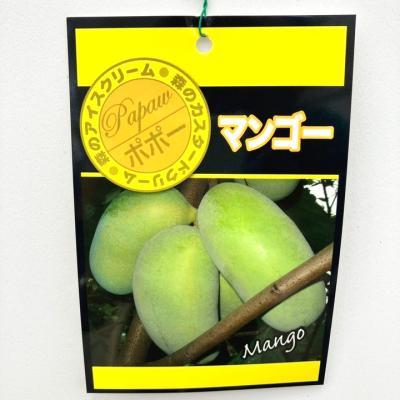 マンゴー苗の商品一覧 通販 - Yahoo!ショッピング マンゴー苗の商品一覧 通販 - Yahoo!ショッピング