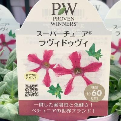 大森プランツ（花の苗）｜苗 | 花、ガーデニング のおすすめ人気商品